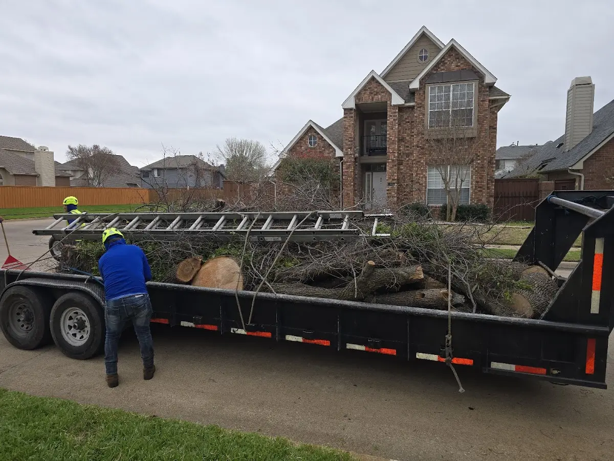 Expert Tree Removal with proper safety equipment in New Salisbury